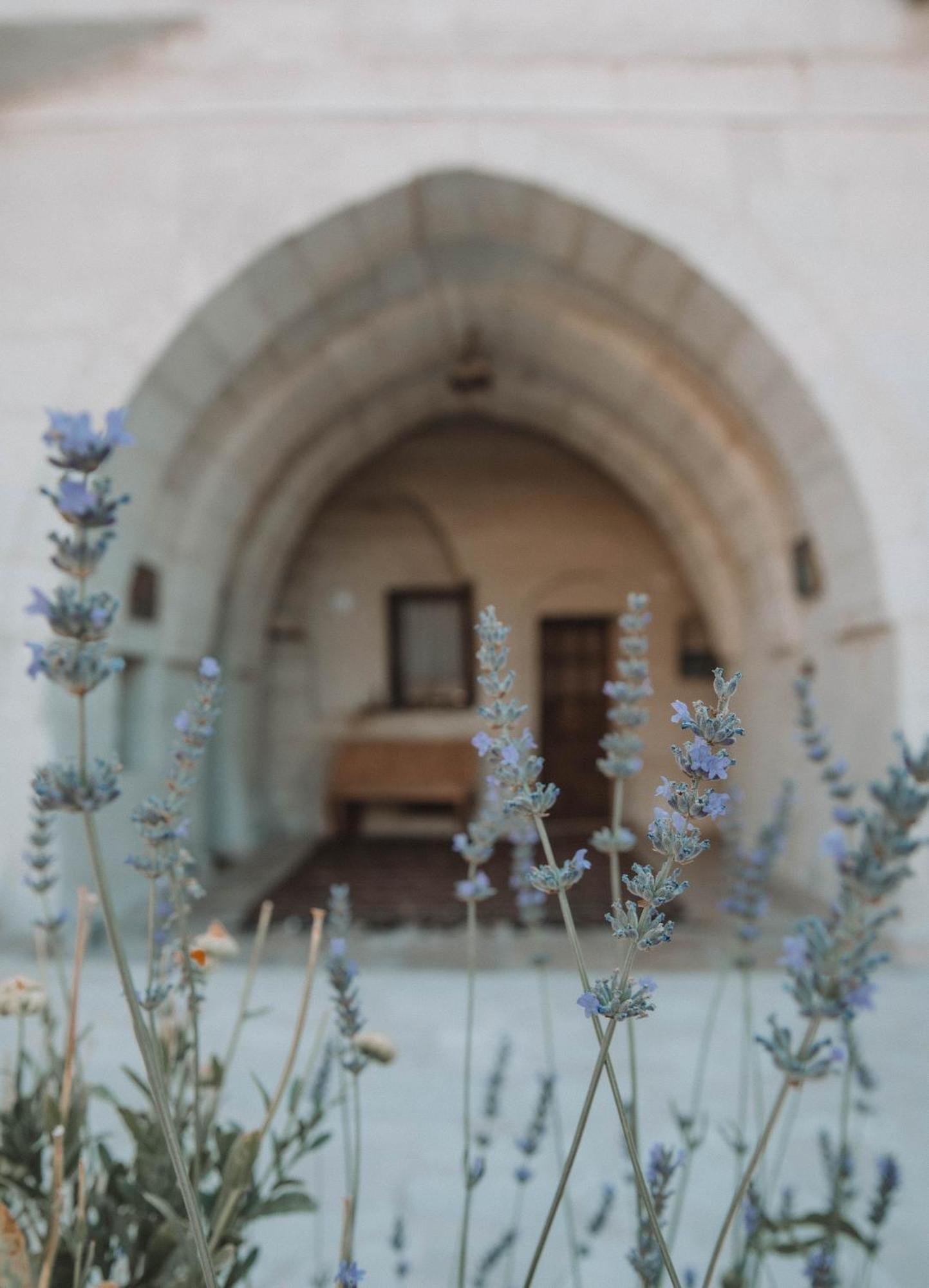 Turan Cappadocia Cave Hotell Göreme Eksteriør bilde